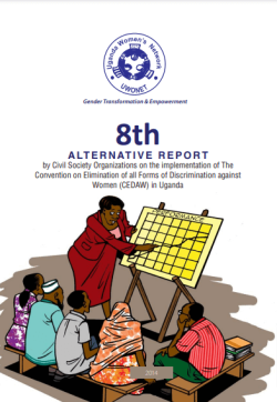 8th Alternative Report .