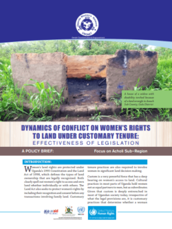 Dynamics of Conflict on Women’s Rights to Land under Customary Tenure 2014