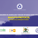 Endagiirio Ahandagaano Yobugabe Bwabakazi Omuri Africa(Runyankole)(2011)