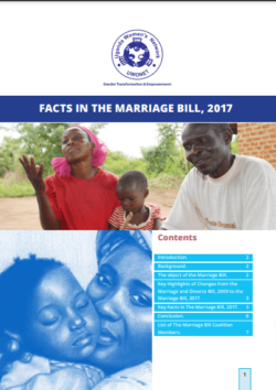 Facts in the Marriage Bill 2017