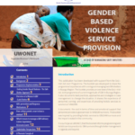 Gender Based Violence Service Provision(2016)