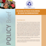 Is Uganda on Track in Delivering on CEDAW Recommendations(2015)