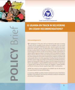 Is Uganda on Track in Delivering on CEDAW Recommendations(2015)