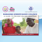Managing Gender Based Violence Prevention