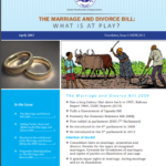 The Marriage and Divorce Bill (2013)