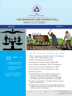 Marriage and Divorce Bill 2013.