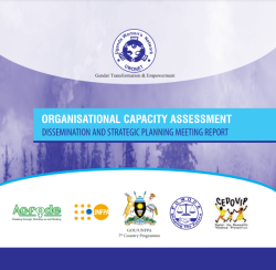 Organisation Capacity Assessment- Dissemination and Strategic Planning Meeting Report (2011)