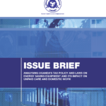 Issue Brief  Impact On Unpaid Care And Domestic Work (2022)