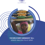 The Employment Amendment Bill Gender Analysis Policy Brief (2022)