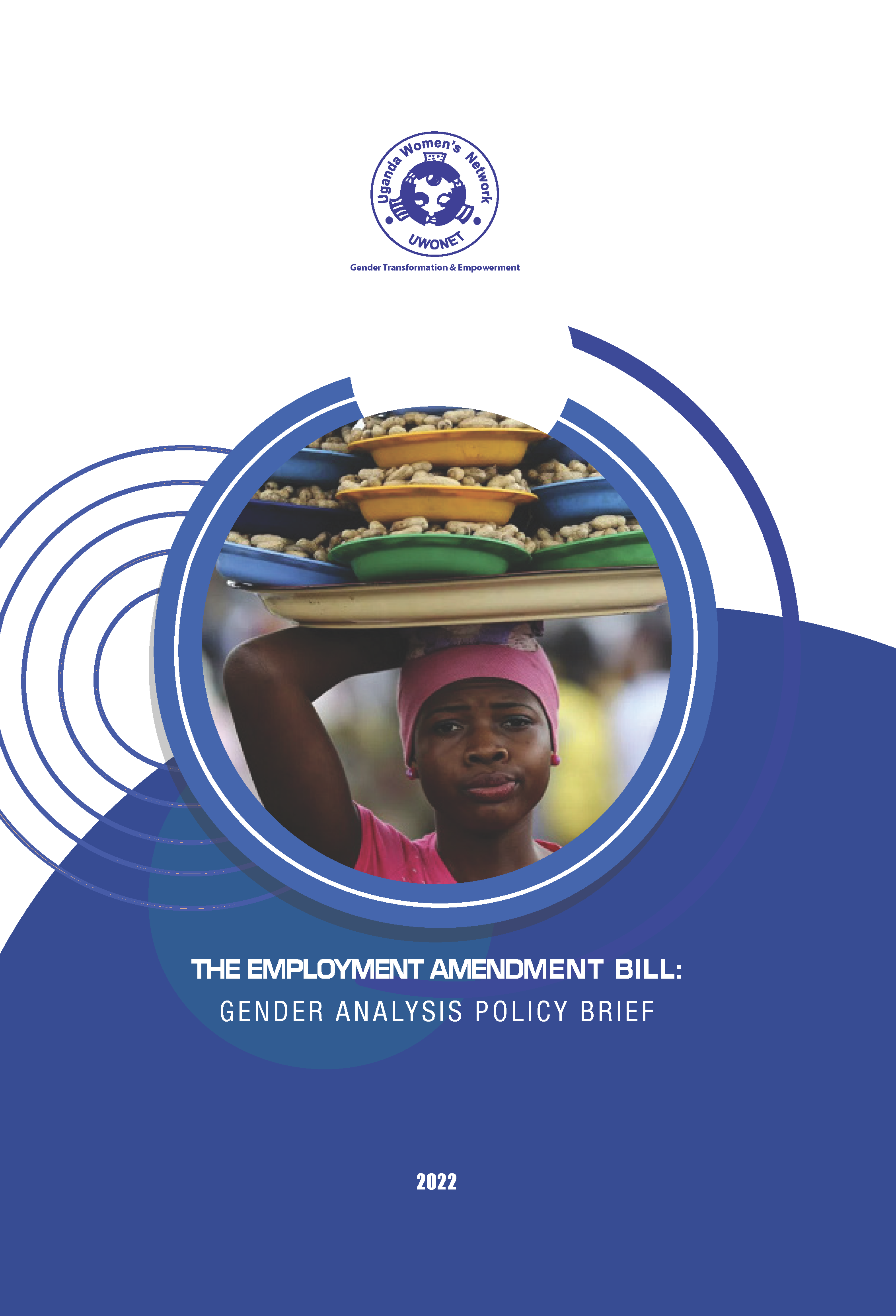 The Employment Amendment Bill Gender Analysis Policy Brief (2022)