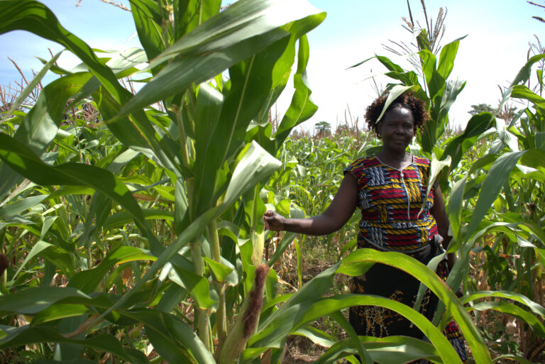 Women Powering Uganda’s Agricultural Growth