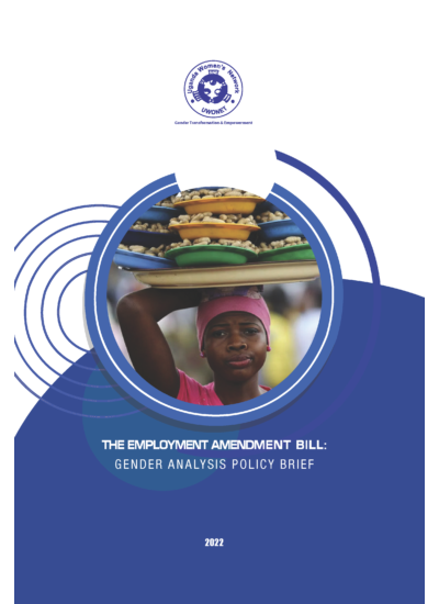 The Employment Amendment Bill Gender Analysis Policy Brief (2022)