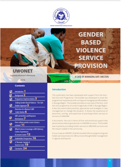 Gender Based Violence Service Provision(2016)